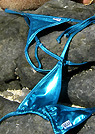 natasha in a malibu strings bikini