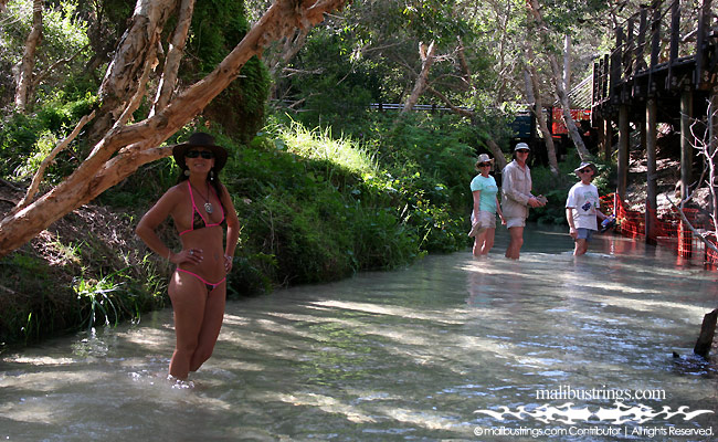 Sue Ellen in a Malibu Strings bikini in Australia.