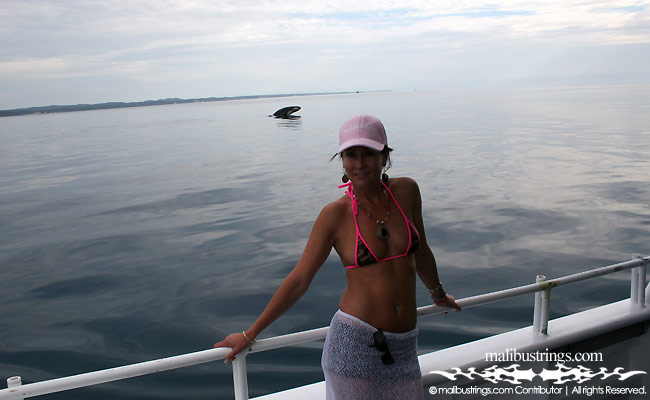 Sue Ellen in a Malibu Strings bikini in Australia.