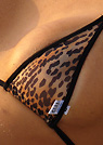 tania in a malibu strings bikini