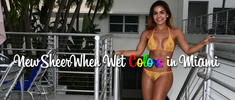 New Sheer When Wet Colors in Miami