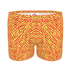 Men's Swim Trunks
